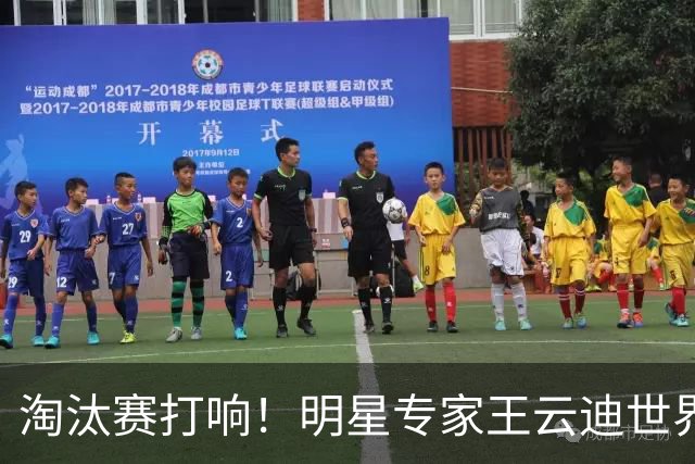 淘汰赛打响！明星专家王云迪世界杯7连红领衔红单